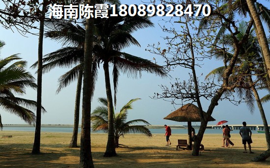 可以在碧桂园滨江海岸云顶购房吗？